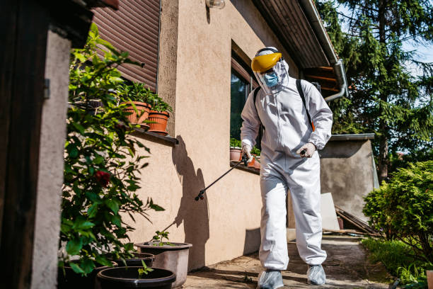 Best Commercial Pest Control Services  in New Martinsville, WV