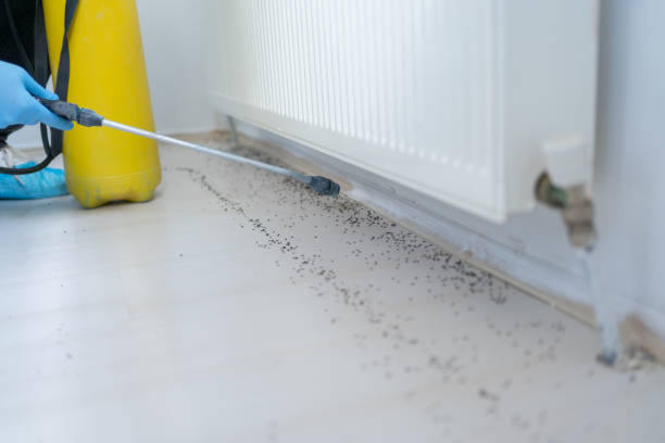 Best Exterminator Services  in New Martinsville, WV